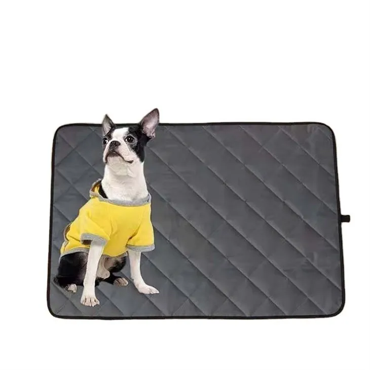 pet-pad-carpet39539584613