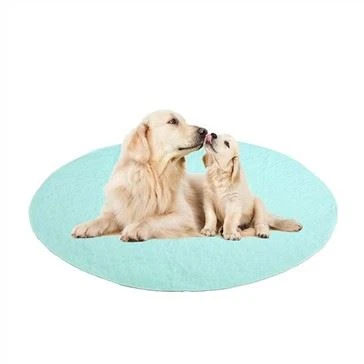 Pad Traenála Neamhchoinneálachta Puppy