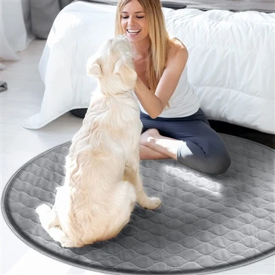 Dá bhFéadfaimis Labhairt le Madraí, Cad iad na Trí Rud a Déarfá le do Mhadra?